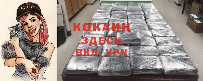 кракен онион  Кондопога  КОКАИН Fish Scale 