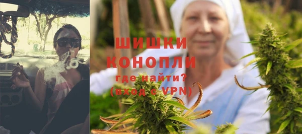 прущие грибы Надым