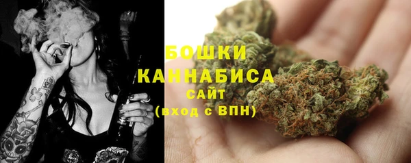 прущие грибы Надым