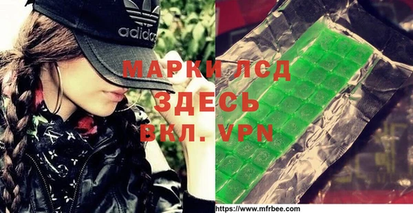 прущие грибы Надым