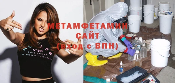 прущие грибы Надым