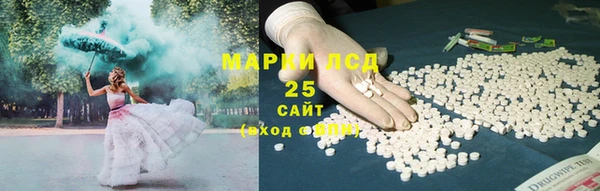 прущие грибы Надым