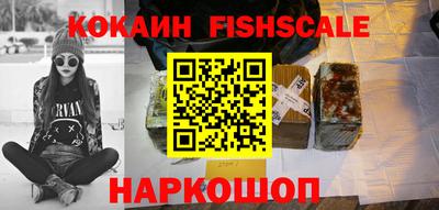 индика Гусев