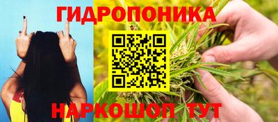 индика Гусев