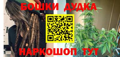 индика Гусев