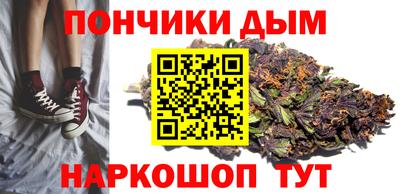 индика Гусев