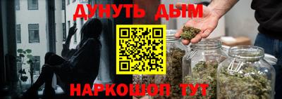 индика Гусев