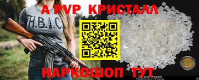 индика Гусев