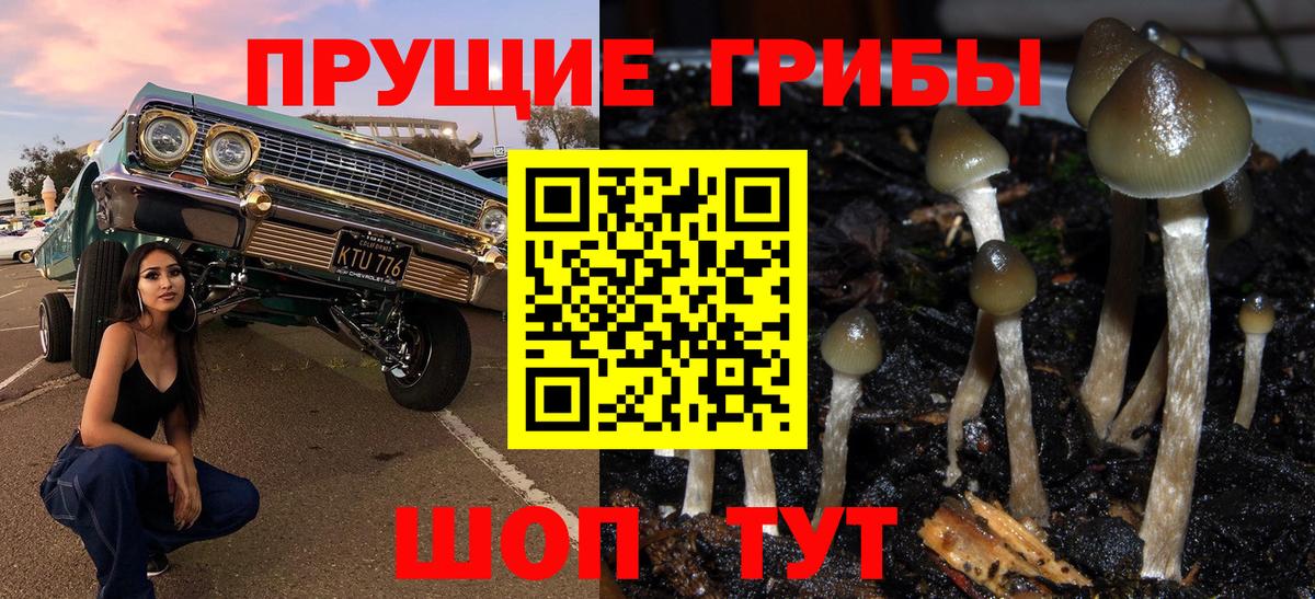 Галлюциногенные грибы мухоморы  Кондопога 