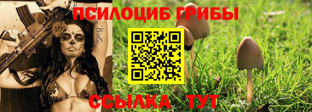 Галлюциногенные грибы мицелий Кондопога