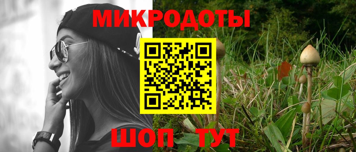 где продают наркотики  Вход с VPN  Кондопога  Псилоцибиновые грибы Magic Shrooms 