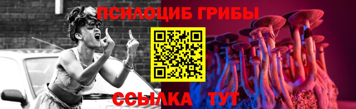 Псилоцибиновые грибы GOLDEN TEACHER Кондопога
